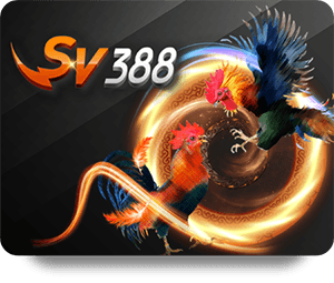 Phong Cách Chơi Thể Thao Đỉnh Cao Tại MB66 Thể Thao VIP